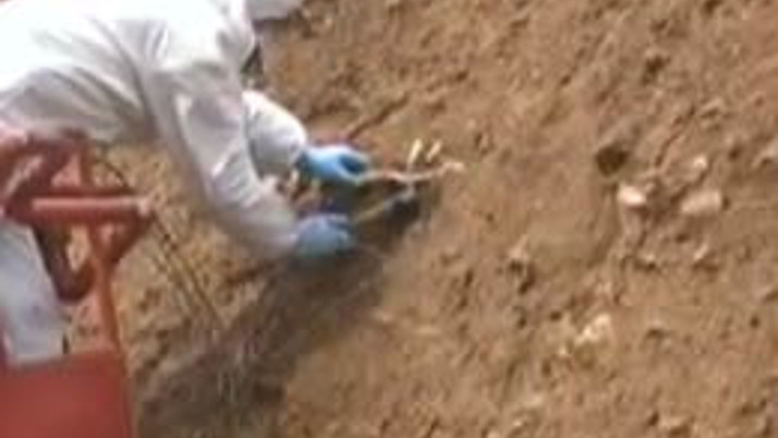 Kayan toprağın altından çıkanlar şoke etti
